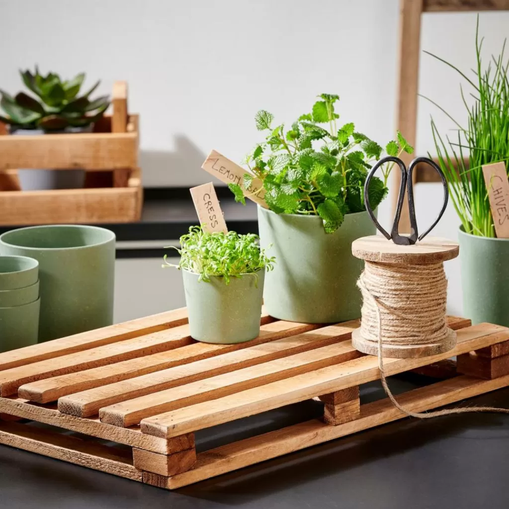 CASA RECYCLE Portapiante Naturale- Supporti Per Piante | Vasi Da Giardino