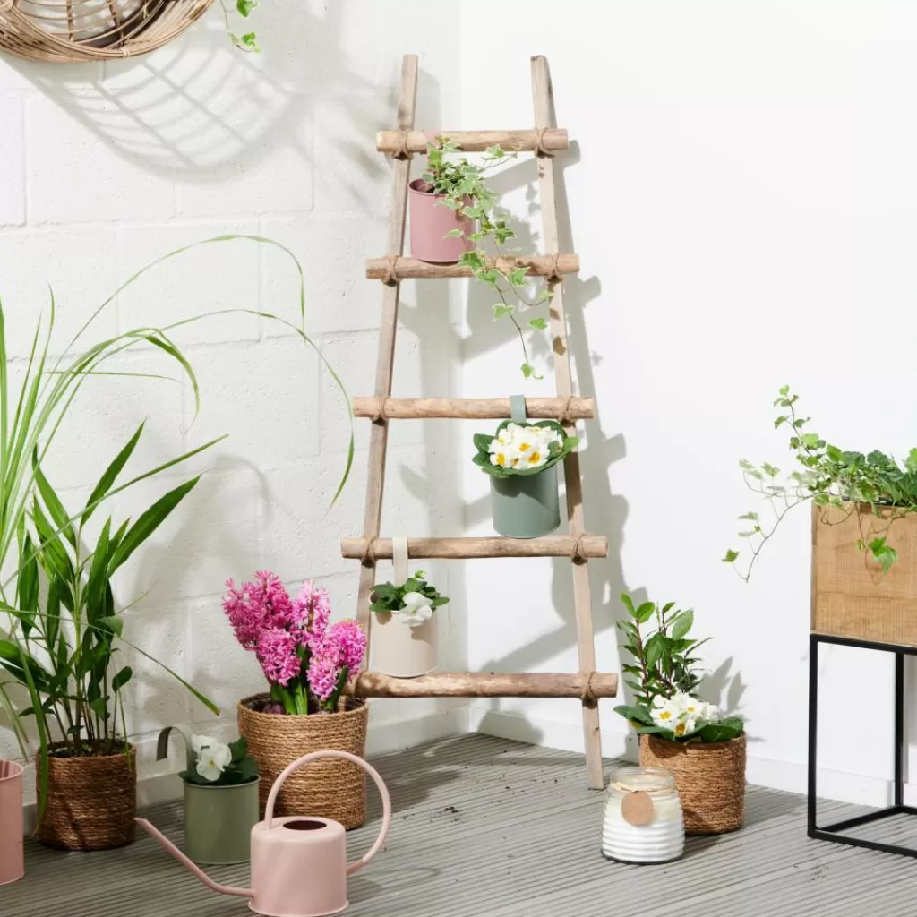 CASA RECYCLE Scaletta Naturale- Kids | Portavasi Sospesi