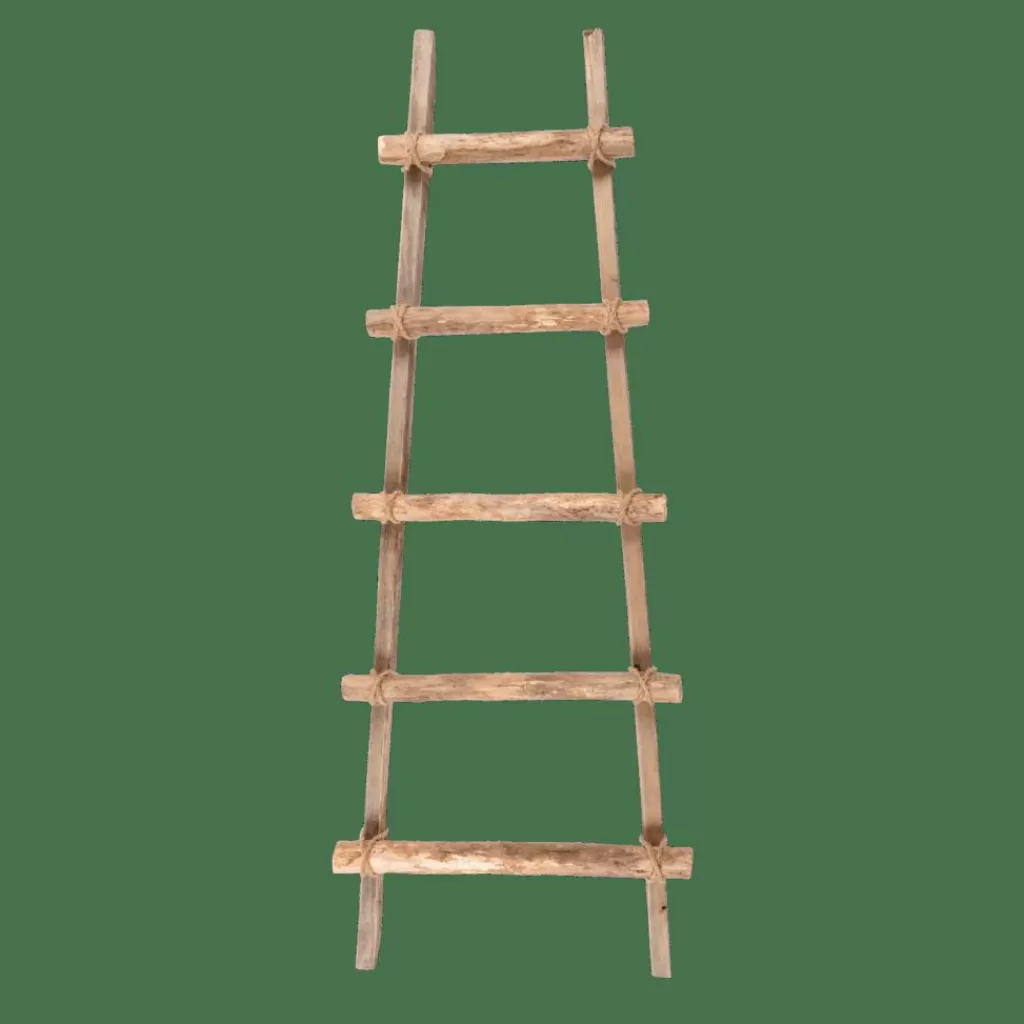 CASA RECYCLE Scaletta Naturale- Kids | Portavasi Sospesi