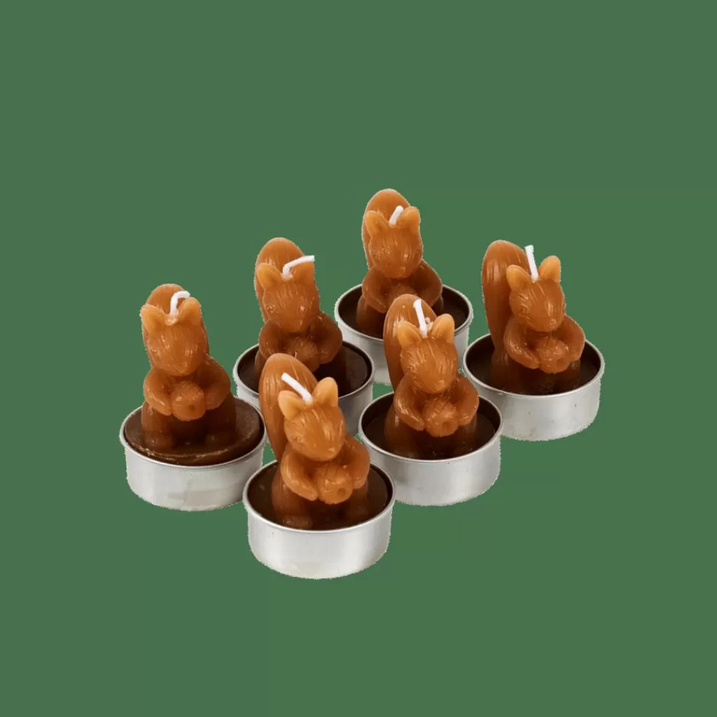 CASA SQUIRREL Lumini Set Di 6 Marrone- Portalumini | Autunno