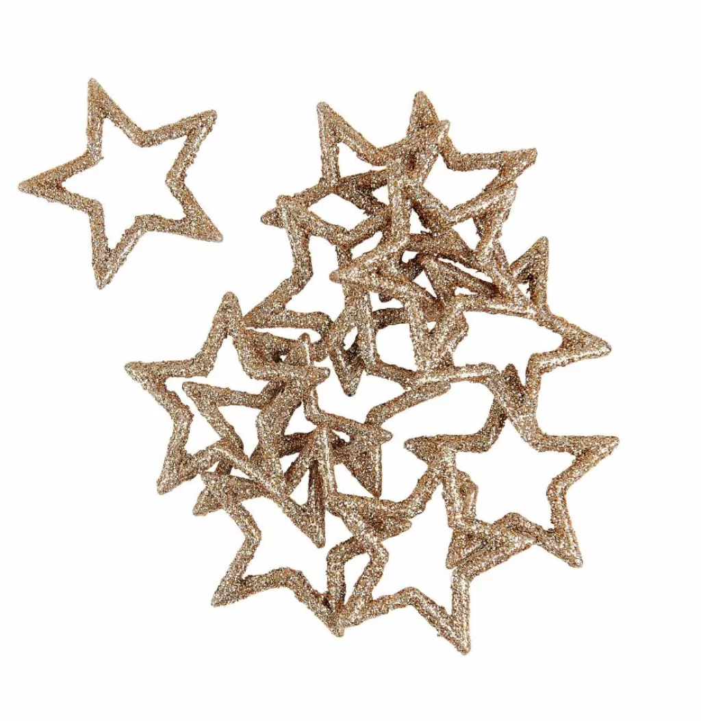 CASA STAR Decorazioni Secche- Fiori Artificiali