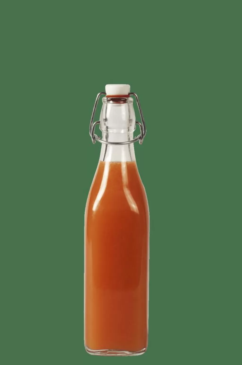 CASA SWING Bottiglia 0,5 L Trasparente- Barattoli | Bottiglie