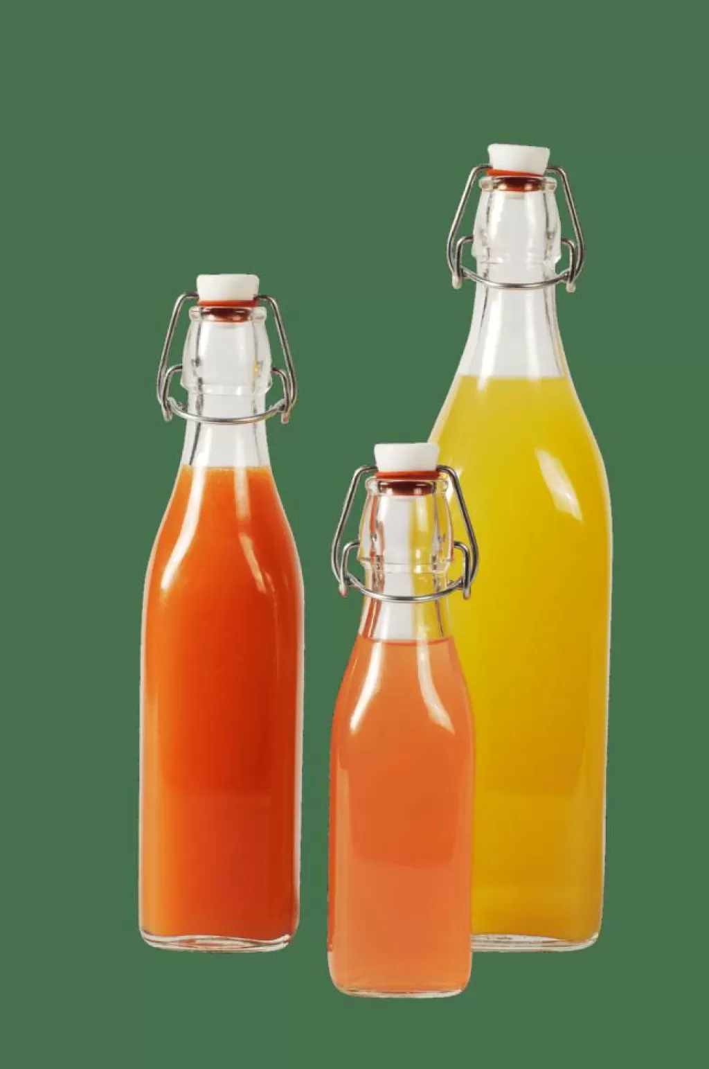 CASA SWING Bottiglia 0,5 L Trasparente- Barattoli | Bottiglie