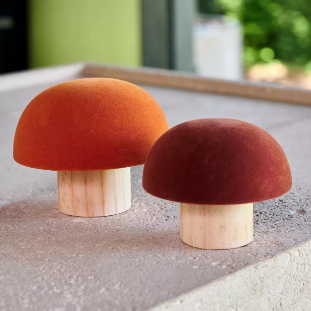 CASA VELVET Fungo Naturale, Multicolore- Autunno