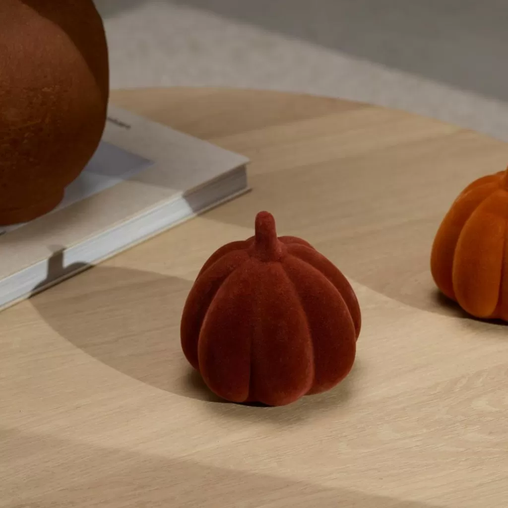 CASA VELVET Zucca Arancione- Halloween | Autunno