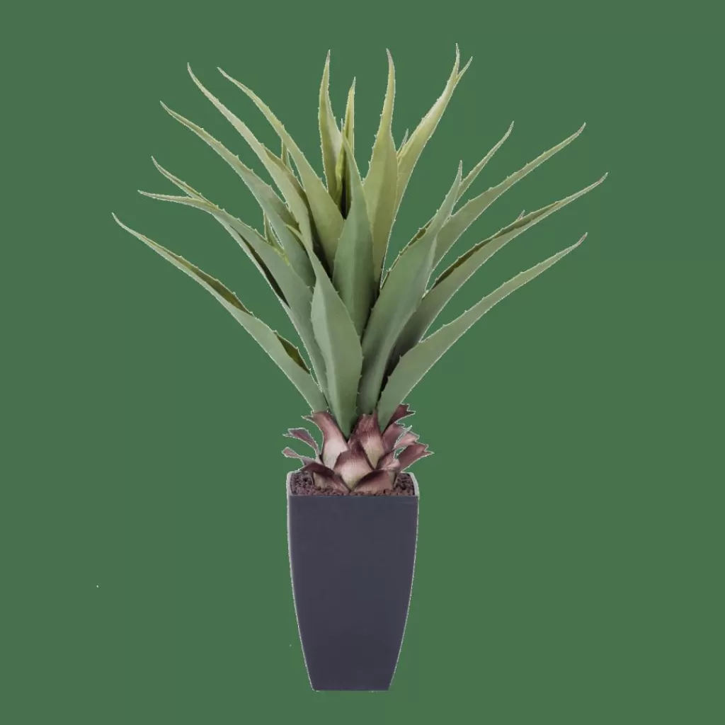CASA VERA Aloe Vera Verde- Piante Artificiali