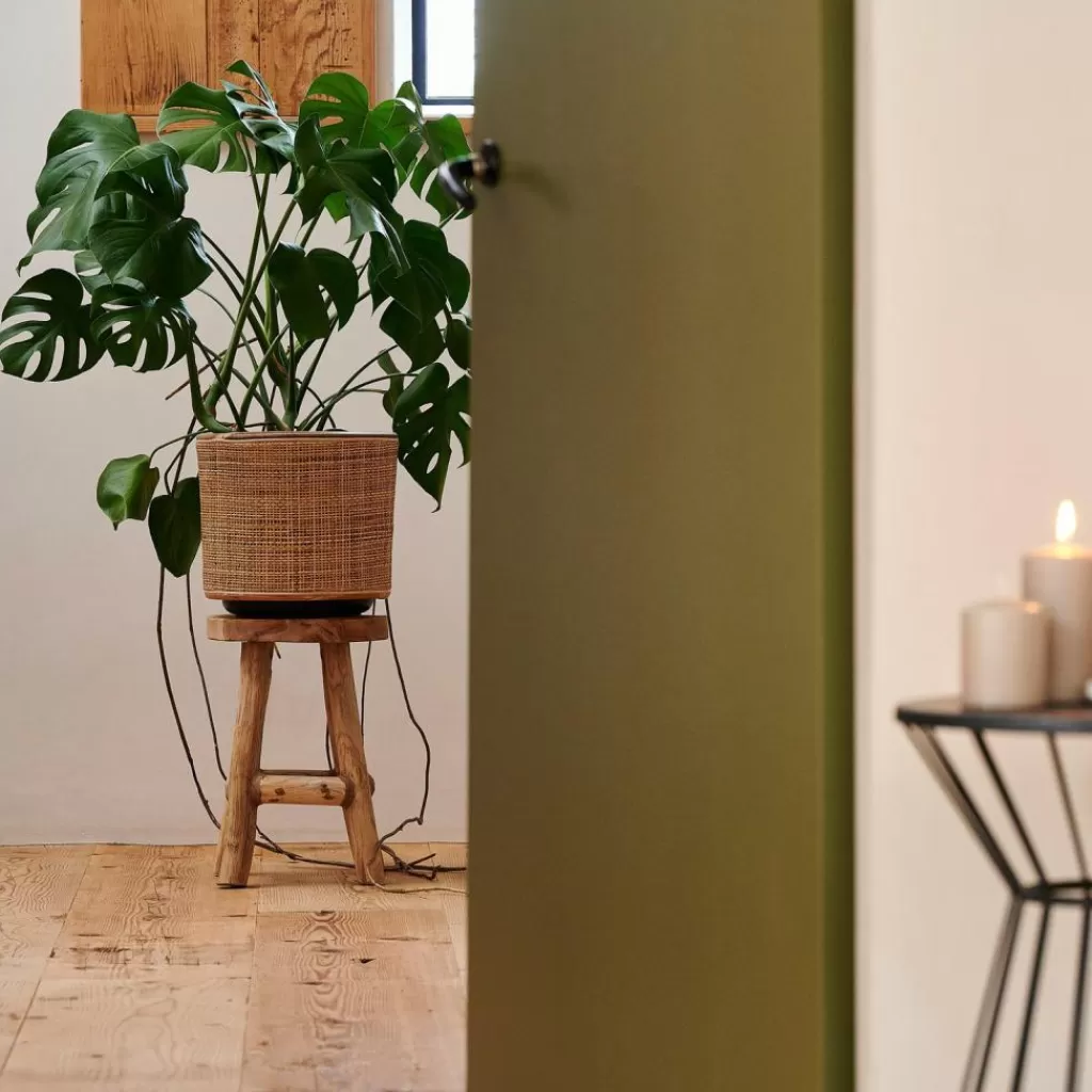 CASA WEBBING Vaso Per Piante Naturale- Vasi Decorativi | Vasi Di Fiori